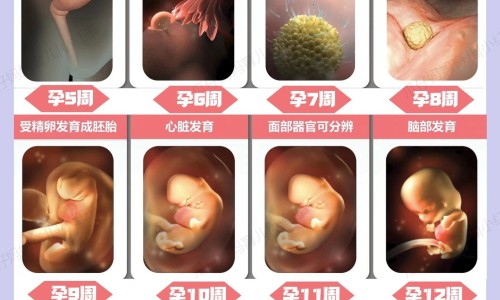 喝药期间能吃鱼吗会解药吗-喝药期间能吃鱼吗网- 吃药期间能吃鱼吗知识,分享喝中药可以吃鱼吗